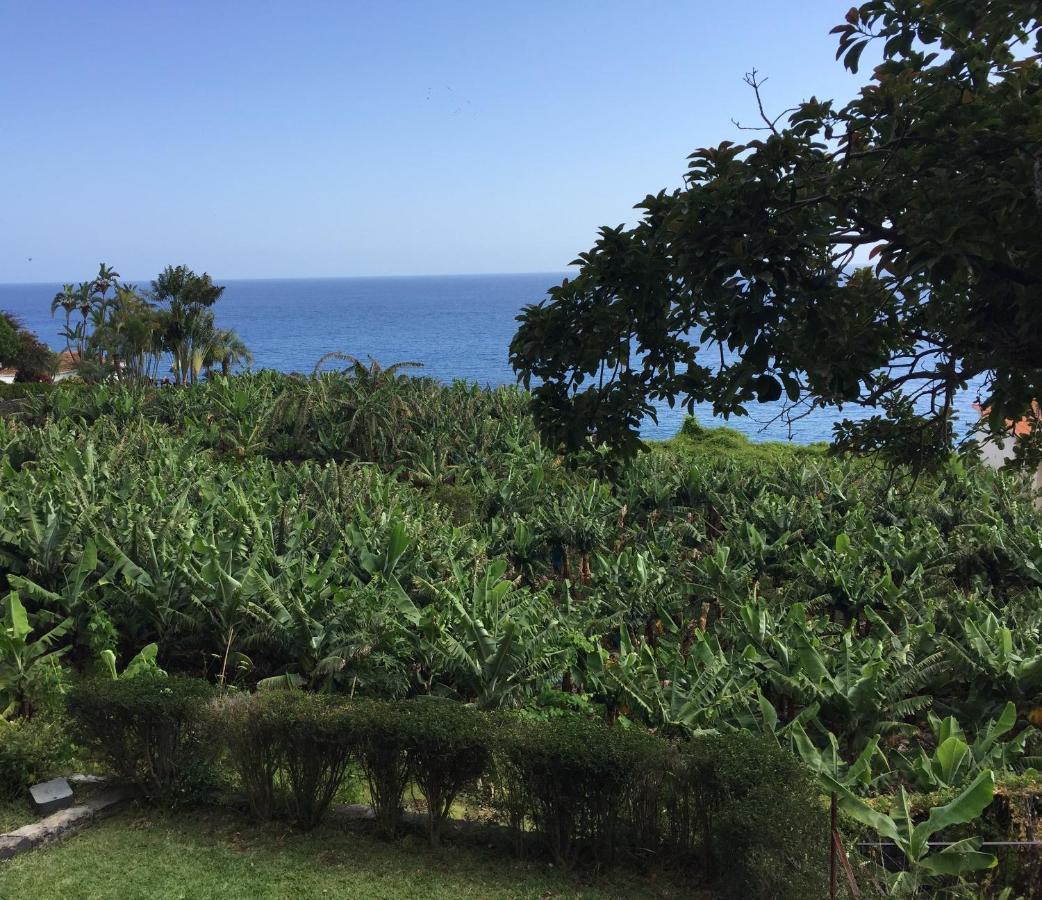 Chalet Tropical 阿科达卡列塔 外观 照片